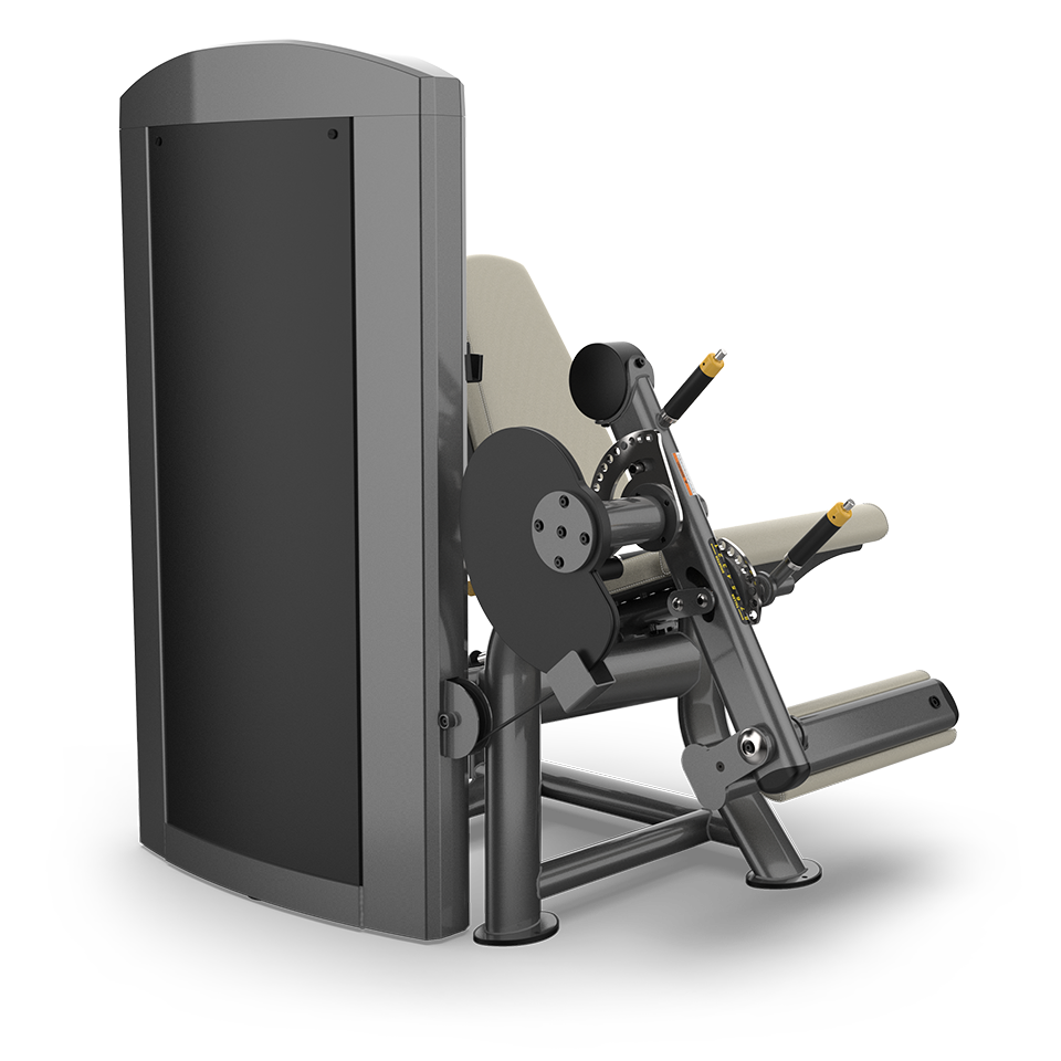 SPL-0100_SEATED_LEG_EXTENSION_3.png